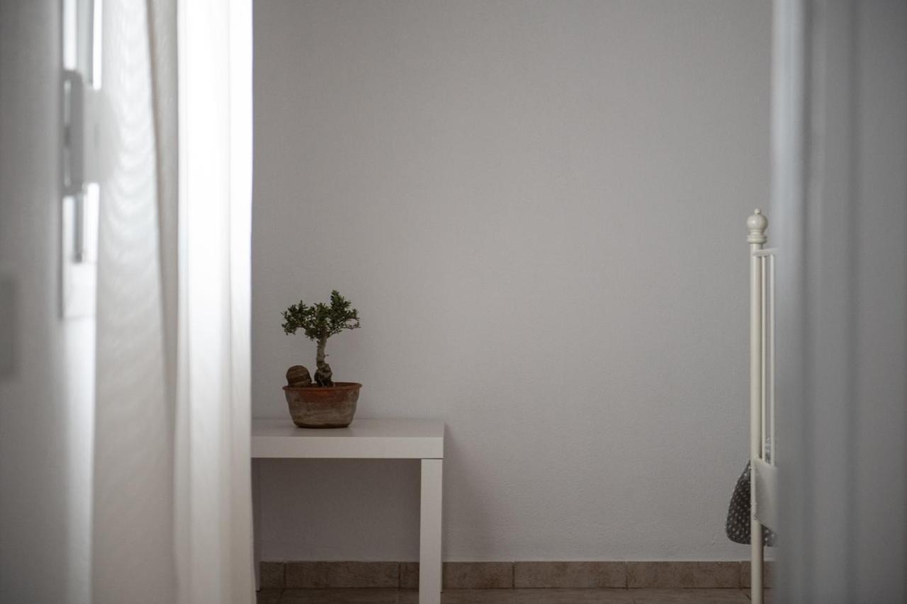 Agrikia Tis Vasilikis Apartment Ormilia Ngoại thất bức ảnh
