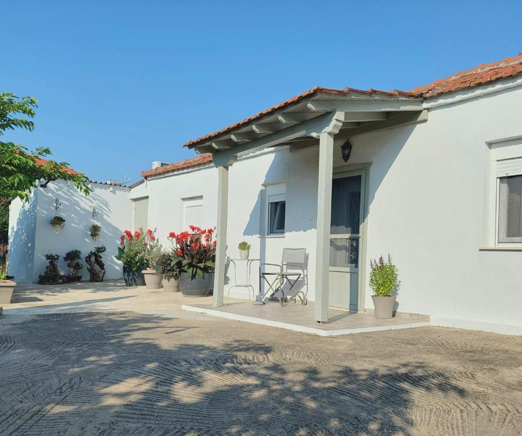 Agrikia Tis Vasilikis Apartment Ormilia Ngoại thất bức ảnh