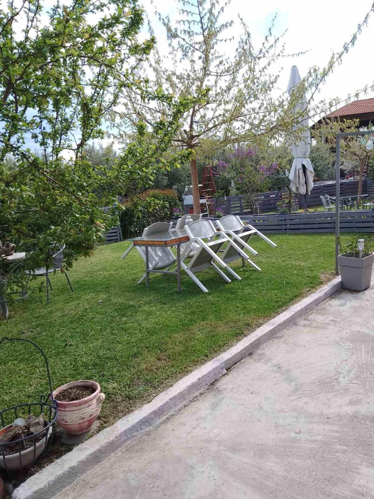 Agrikia Tis Vasilikis Apartment Ormilia Ngoại thất bức ảnh